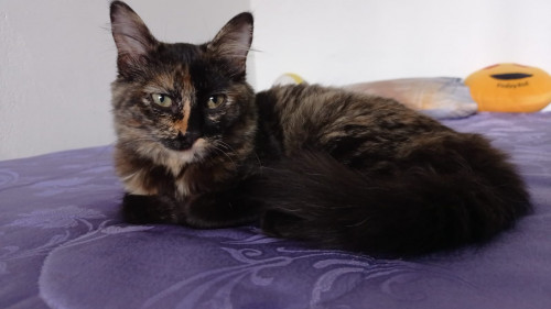 Zoe
