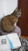 Foto de Matilde en Funza Cundinamarca #1