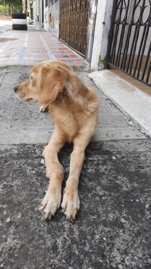 Tobby