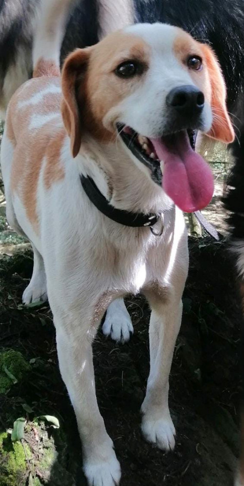 Martín