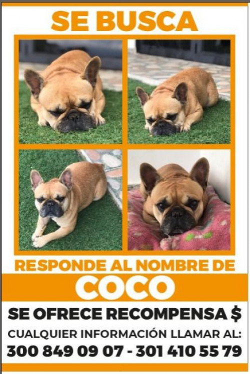 Coco