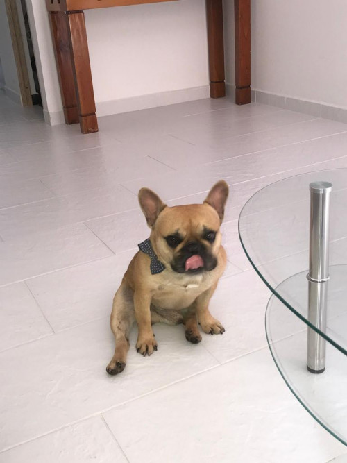 Coco