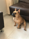 Foto de Coco en Medellín Antioquia #10