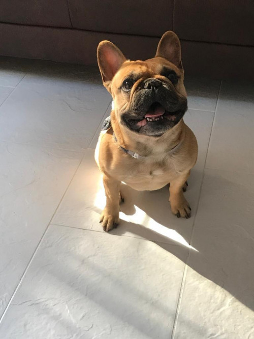 Coco