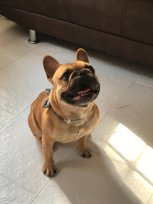 Coco