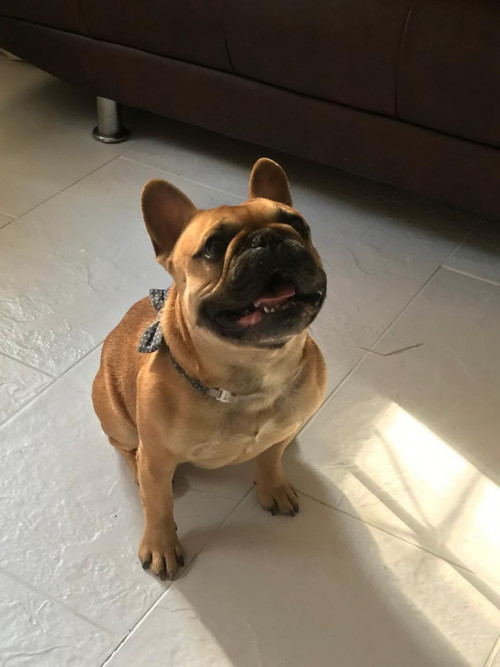 Coco