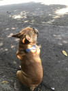 Foto de Coco en Medellín Antioquia #6