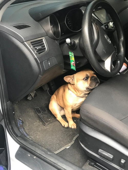Coco