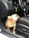 Foto de Coco en Medellín Antioquia #0