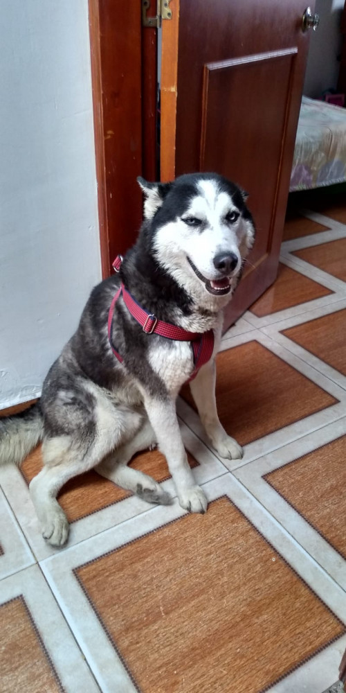 Zeus