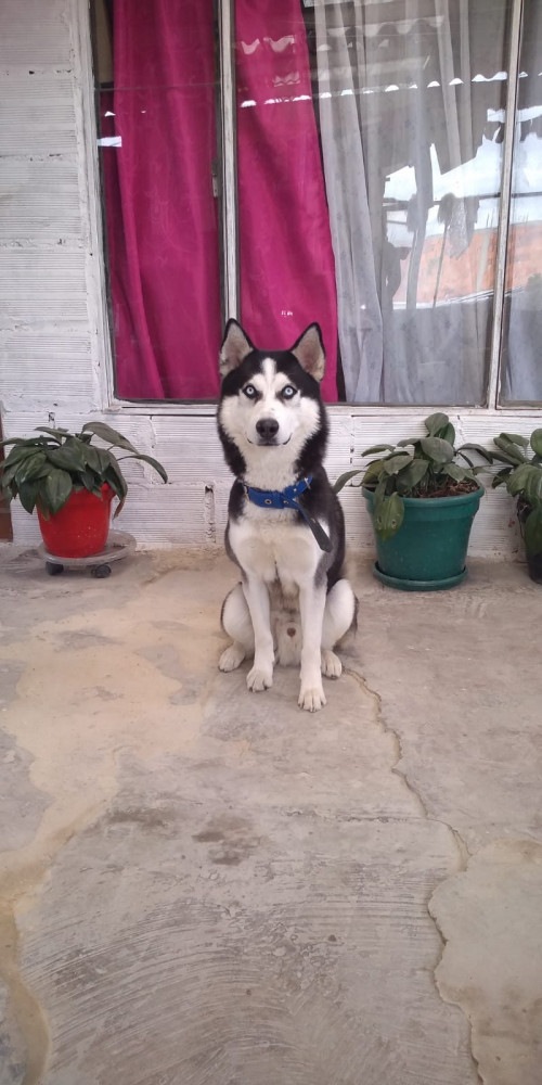 Zeus