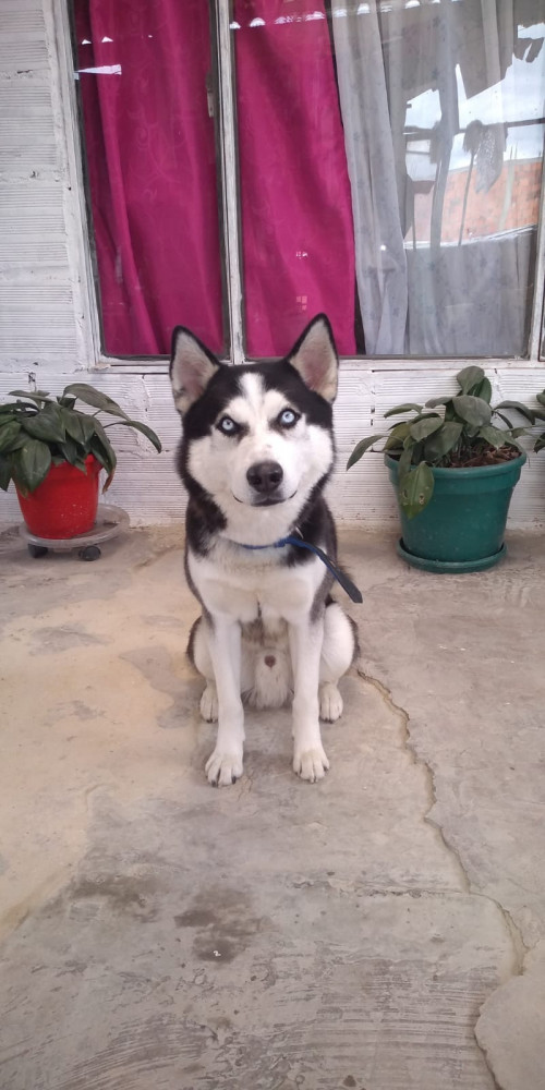 Zeus