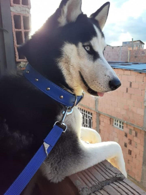 Zeus