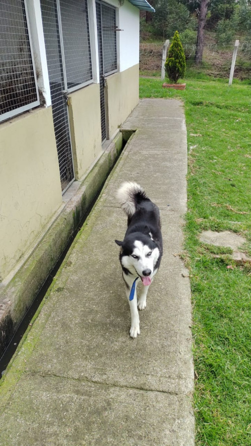 Zeus
