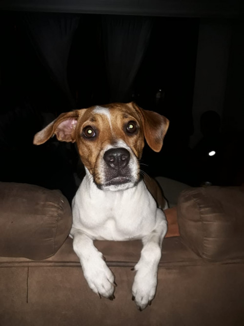 Abby