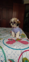 Foto de Susy en  Bogota #1