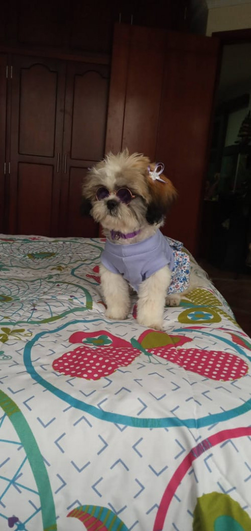 Susy