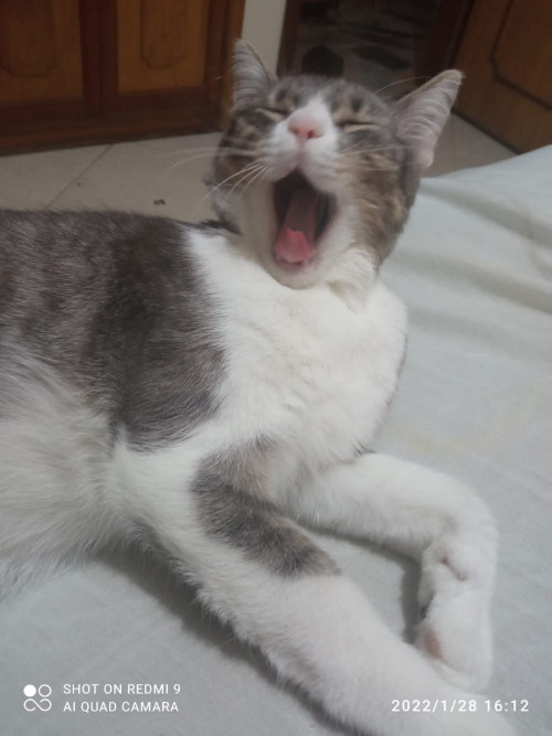 Frida