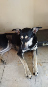 Foto de Negra en Cali Valle del Cauca #2