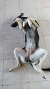 Foto de Negra en Cali Valle del Cauca #1