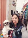 Foto de Kanella en  Bogota #4