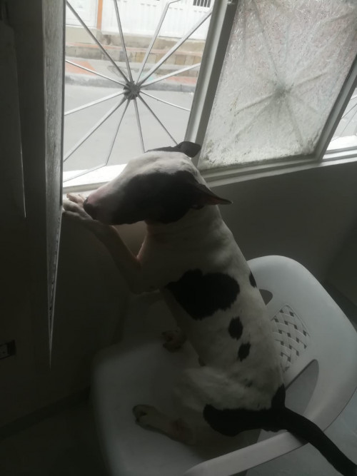 Danger