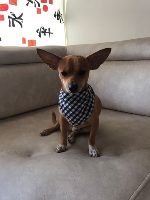 Max