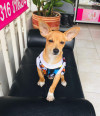 Foto de Max en Cali Valle del Cauca #1