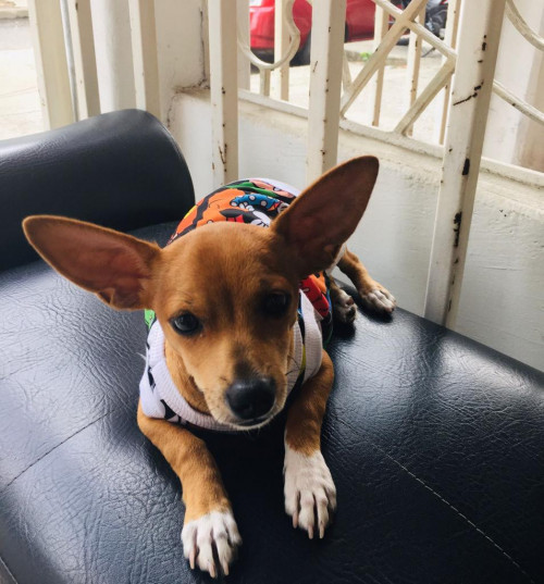 Max