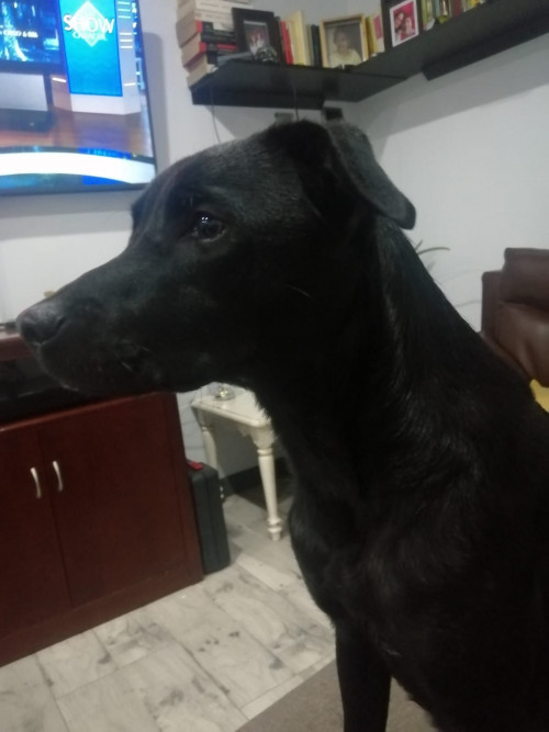Domingo