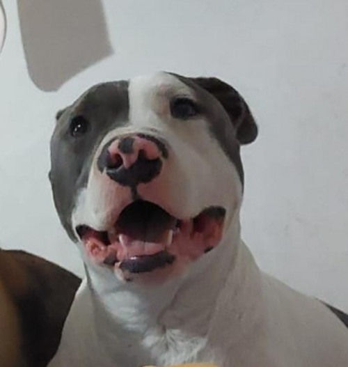 Zeus