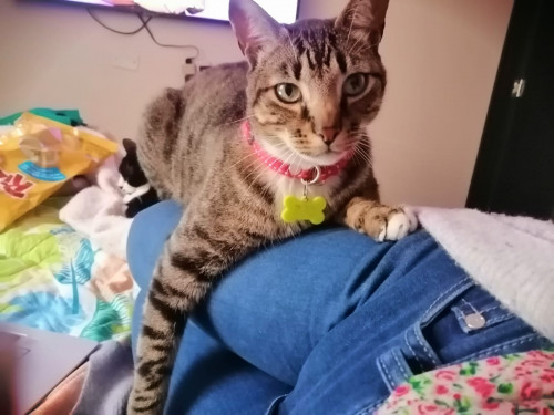Tom