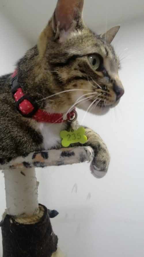 Tom
