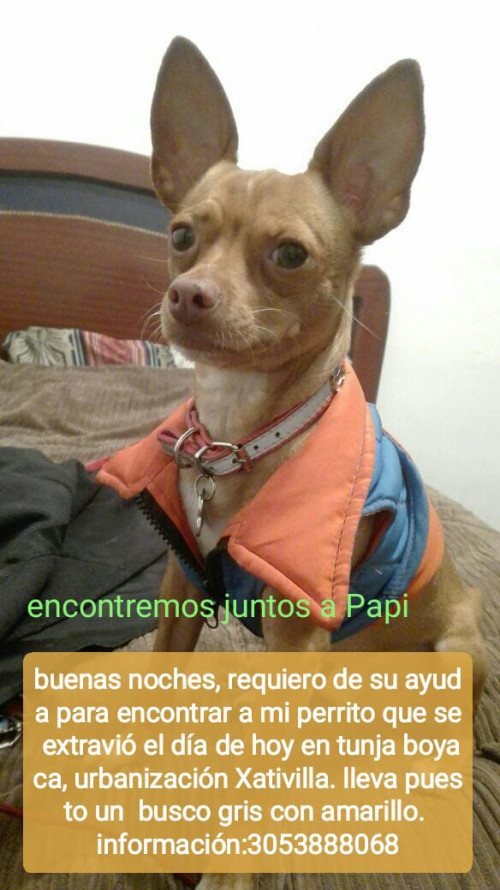 Papi