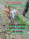 Foto de Papi en Tunja Boyacá #0
