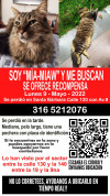 Foto de Mía-miaw en  Bogotá #0