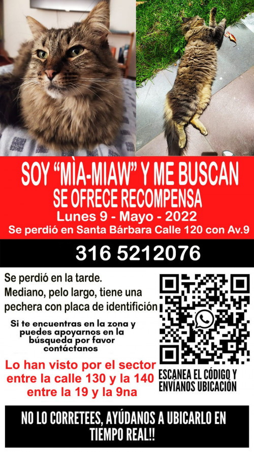 Mía-miaw