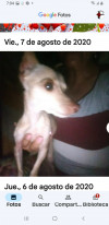 Foto de Mona en Villavicencio Meta #3