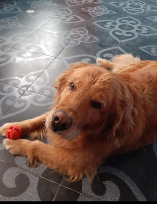 Molly