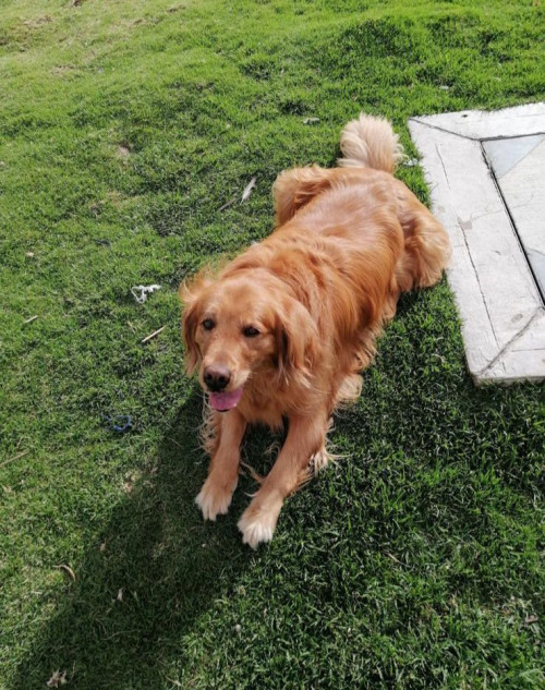 Molly