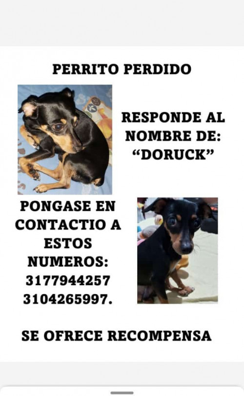 Doruck