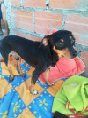 Foto de Doruck en Cali Valle del Cauca #2