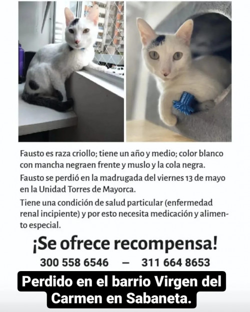 Fausto