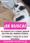 Foto de Rescatada en Villavicencio Meta #3