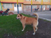 Foto de Zeuz en  Bogota #0