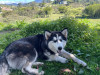 Foto de Luna en   #2