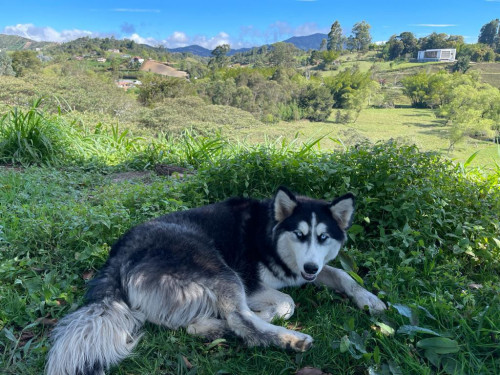 Luna
