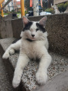 Foto de Neón en Medellin Antioquia #2