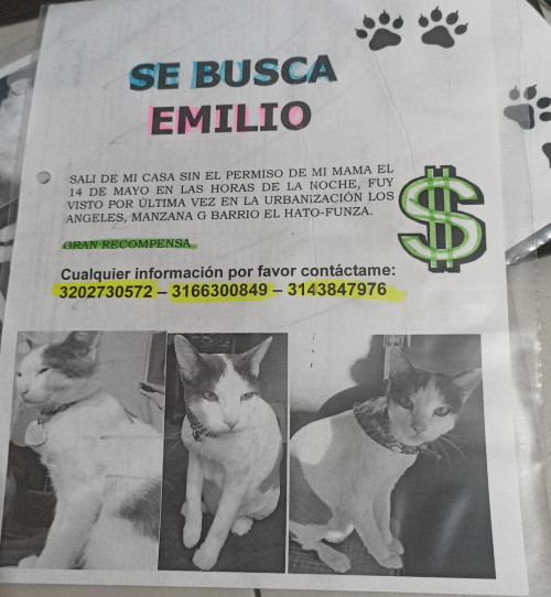Emilio 