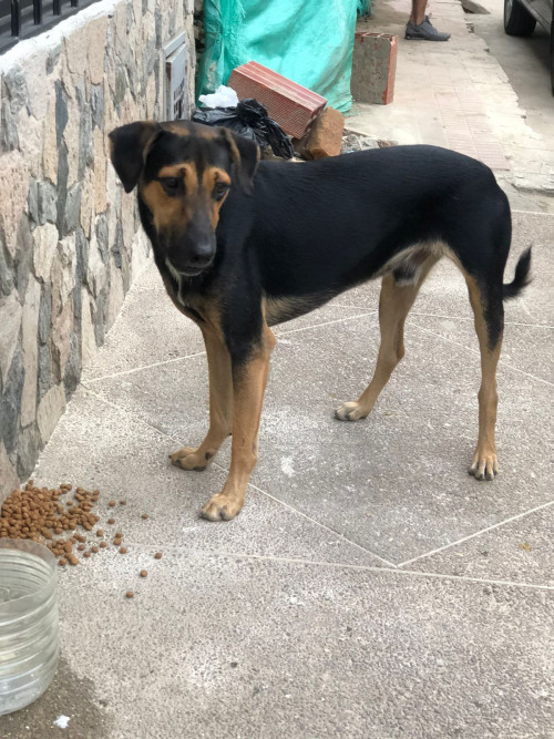 Zeus 